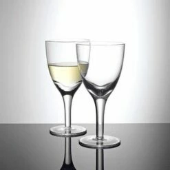 Denby China White Wine Glass Pack Of 2 5 Denby China White Wine Glass Pack Of 2 -HARTS OF STUR Sales 400010503 China By Denby White Wine Glass Pack of 2 1
