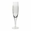 Denby Monsoon Filigree Champagne Flute Pack Of 2 -HARTS OF STUR Sales 401013763 Denby Monsoon Filigree Champagne Flute Pack of 2