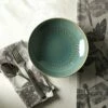 Royal Botanic Gardens Kew Living Jewels Pasta Bowl 22cm - Green -HARTS OF STUR Sales 852387 RBG Kew Living Jewels Pasta Bowl