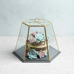 Artesa Serving Cloche -HARTS OF STUR Sales ARTTERRARIUM KitchenCraft Artesa Serving Cloche 2