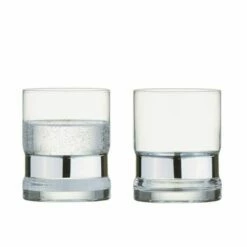 Anton Studios Set Of 2 SoHo DOF Tumblers Silver