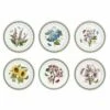 Portmeirion Botanic Garden 10" Plate Set Of 6 -HARTS OF STUR Sales BG05052 Botanic Garden by Portmeirion 10 Inch Plate Set of 6