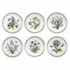 Portmeirion Botanic Garden 8" Plate Set Of 6 -HARTS OF STUR Sales BG05072 Botanic Garden by Portmeirion 8 Inch Plate Set of 6