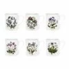 Portmeirion Botanic Garden Breakfast Mug Set Of 6 -HARTS OF STUR Sales BG48700 Botanic Garden by Portmeirion Breakfast Mug Set of 6