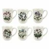 Portmeirion Botanic Garden Tulip Beaker Set Of 6 -HARTS OF STUR Sales BG49610 Botanic Garden by Portmeirion Tulip Beaker Set of 6