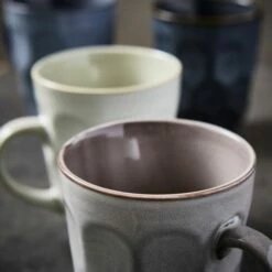 Barbary & Oak Fossil Embossed Mug, Set Of 4 - Coloured Gift Box -HARTS OF STUR Sales BO874016 Barbary Oak Fossil Embossed Mug Set 2