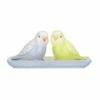 Cath Kidston Painted Table Ceramic Budgie Salt & Pepper Shaker Set -HARTS OF STUR Sales CKBUDGSALPEP Cath Kidston Ceramic Budgie Salt And Pepper Shaker Set