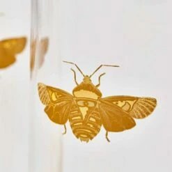 Spode Creatures Of Curiosity Set Of 2 Highball Glasses -HARTS OF STUR Sales CRC8841XD Spode Creatures of Curiosity Highball Set of 2 2