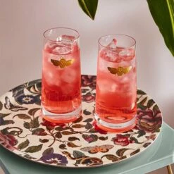 Spode Creatures Of Curiosity Set Of 2 Highball Glasses -HARTS OF STUR Sales CRC8841XD Spode Creatures of Curiosity Highball Set of 2 4