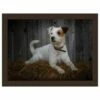 Rural Roots Jack Russell Lap Tray -HARTS OF STUR Sales FLTF2606 Rural Roots By Tradestock Jack Russell Lap Tray