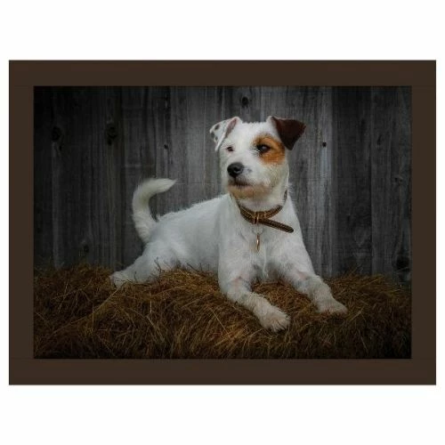 Rural Roots Jack Russell Lap Tray 3 Rural Roots Jack Russell Lap Tray