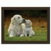 Rural Roots Golden Retrievers Lap Tray -HARTS OF STUR Sales FLTF2608 Rural Roots By Tradestock Golden Retrievers Laptray