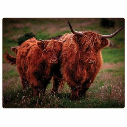 Rural Roots Highland Cows Placemat Pack Of 4 4 Rural Roots Highland Cows Placemat Pack Of 4 - Image 2