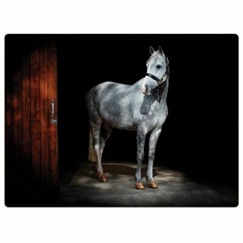 Rural Roots Horse Placemat Pack Of 4 4 Rural Roots Horse Placemat Pack Of 4 - Image 2