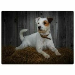 Rural Roots Jack Russell Placemat Pack Of 4 -HARTS OF STUR Sales PMO2606X4 Rural Roots By Tradestock Jack Russell Placemat Pack Of 4 1