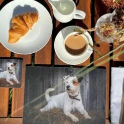Rural Roots Jack Russell Placemat Pack Of 4 -HARTS OF STUR Sales PMO2606X4 Rural Roots By Tradestock Jack Russell Placemat Pack Of 4 2