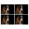 Rural Roots Springer Spaniel Placemat Pack Of 4 -HARTS OF STUR Sales PMO2607X4 Rural Roots By Tradestock Springer Spaniel Placemat Pack Of 4