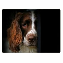 Rural Roots Springer Spaniel Placemat Pack Of 4 -HARTS OF STUR Sales PMO2607X4 Rural Roots By Tradestock Springer Spaniel Placemat Pack Of 4 1 2
