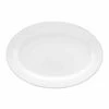 Royal Worcester Serendipity Platinum Oval Platter