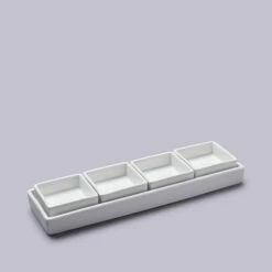 W.M.Bartleet & Sons Sushi Dish Set