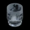 Dartington Aspect Tumbler Country Wildlife 2 Dartington Aspect Tumbler Country Wildlife -HARTS OF STUR Sales TU34075COUNTRYWILDLIFE Dartington Aspect Tumbler Country Wildlife 1
