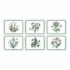 Portmeirion Botanic Garden Placemats Set Of 6 -HARTS OF STUR Sales X0010568013 Botanic Garden by Portmeirion Placemats Set of 6